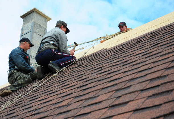 Best Roof Inspection Near Me  in Del Rey, CA